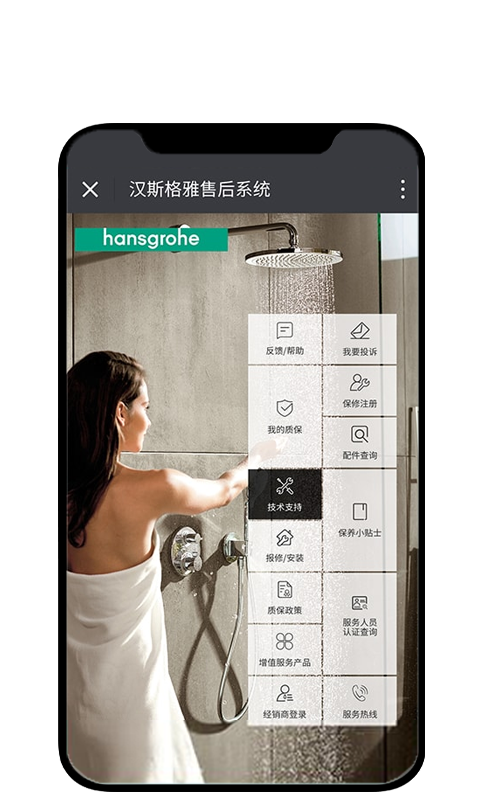 汉斯格雅
