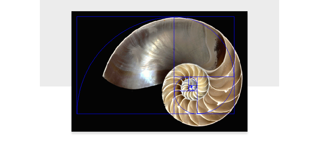 1629885484155657.png get (3).png